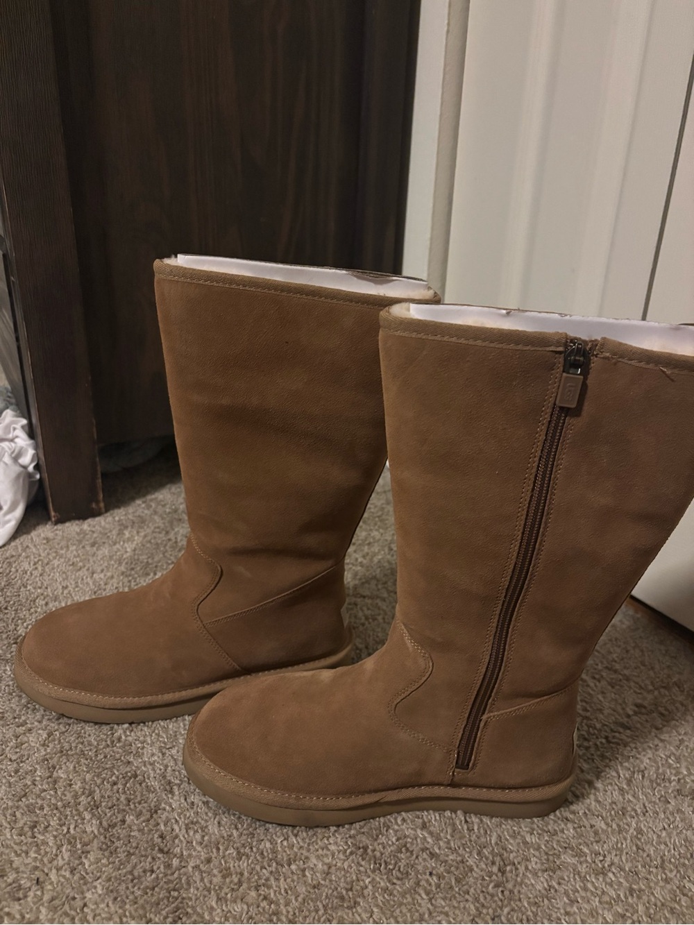 Women's Tall Suede Side-Zip Boot in Chestnut Brown UGG